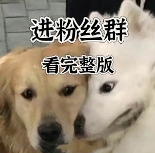 微信截图_20240924211827.png